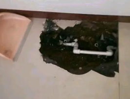 宾川卫生间测漏水多少钱